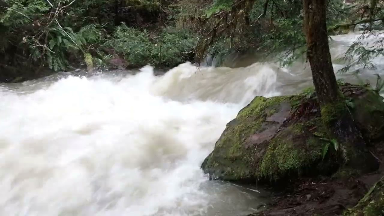 China Bowls Perseverance Creek