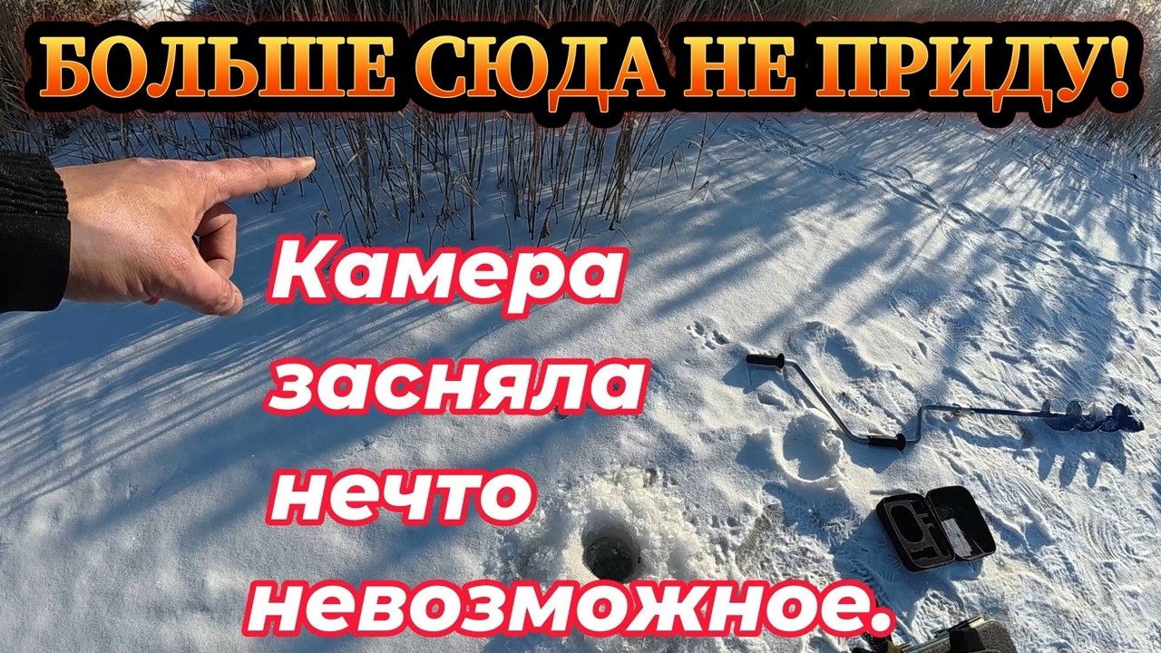 40 лет рыбачу, но ТАКОЕ вижу впервые! Опустил камеру под лёд!