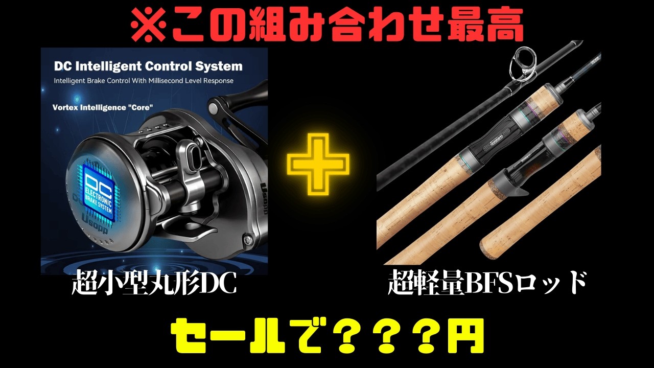 【衝撃価格】セールで〇〇円！？中華の超小型DC×格安BFSロッドのセットが、バス釣りの革命だった。【AliExpressセール】