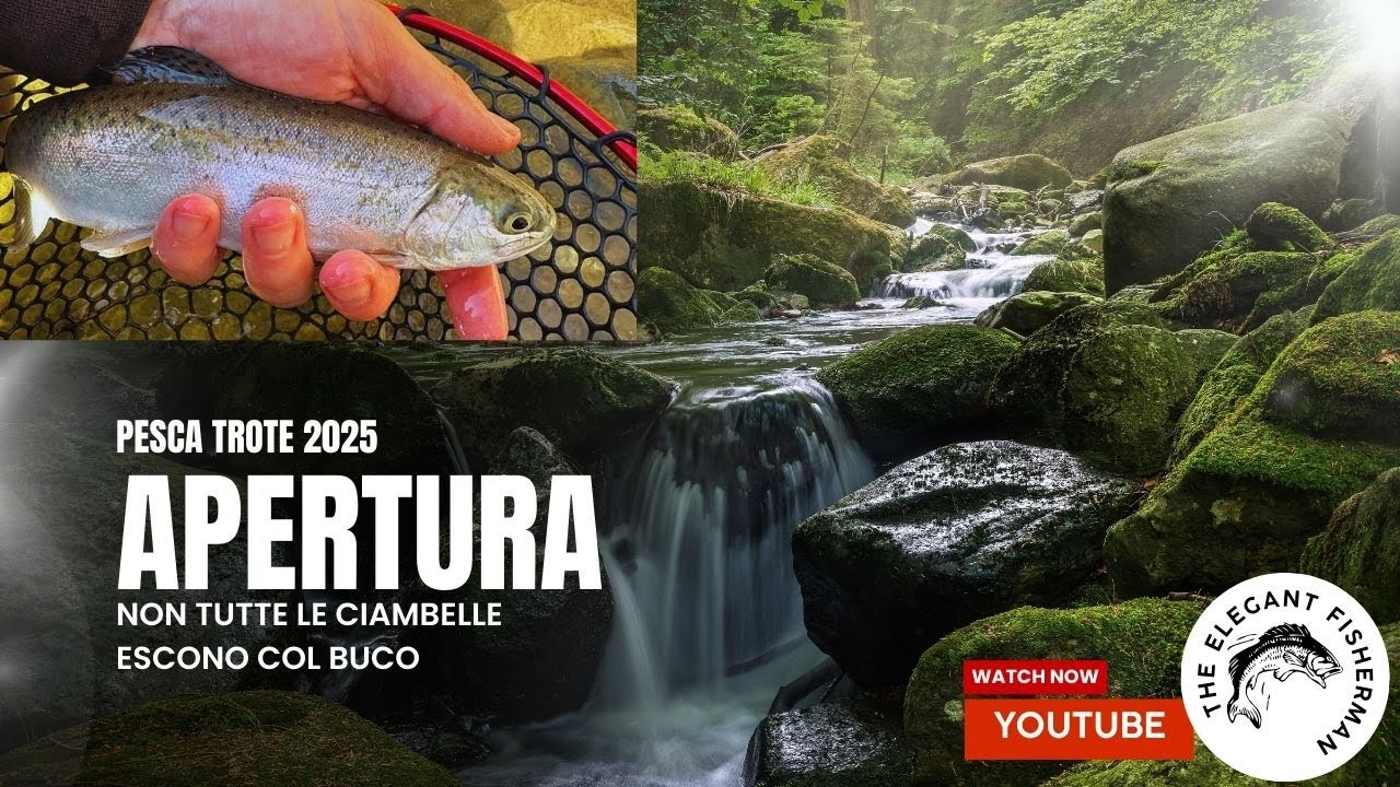 🎣🔥🐟🌈Apertura Trota Torrente 2025: Iridee! #trout #rainbowtrout #arcenciel #ouverturetruite