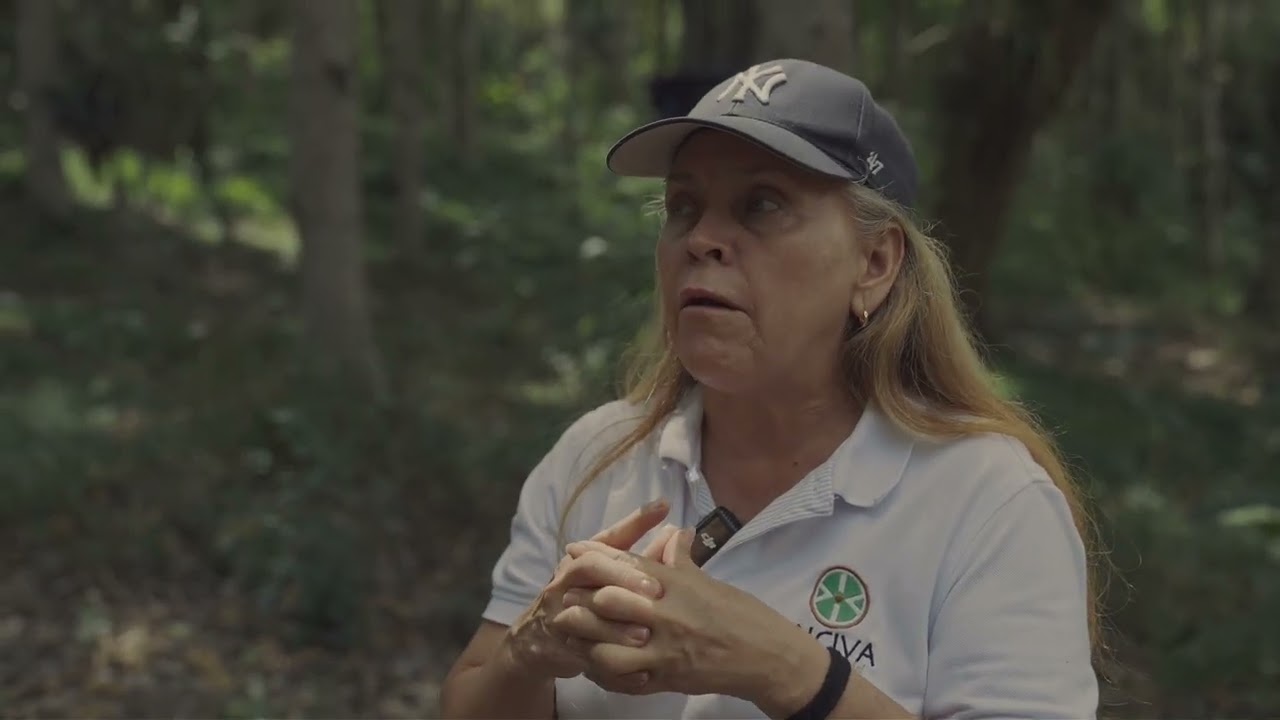 Ep3 | Bosque Seco Tropical – Qué Es e Importancia Ecológica.