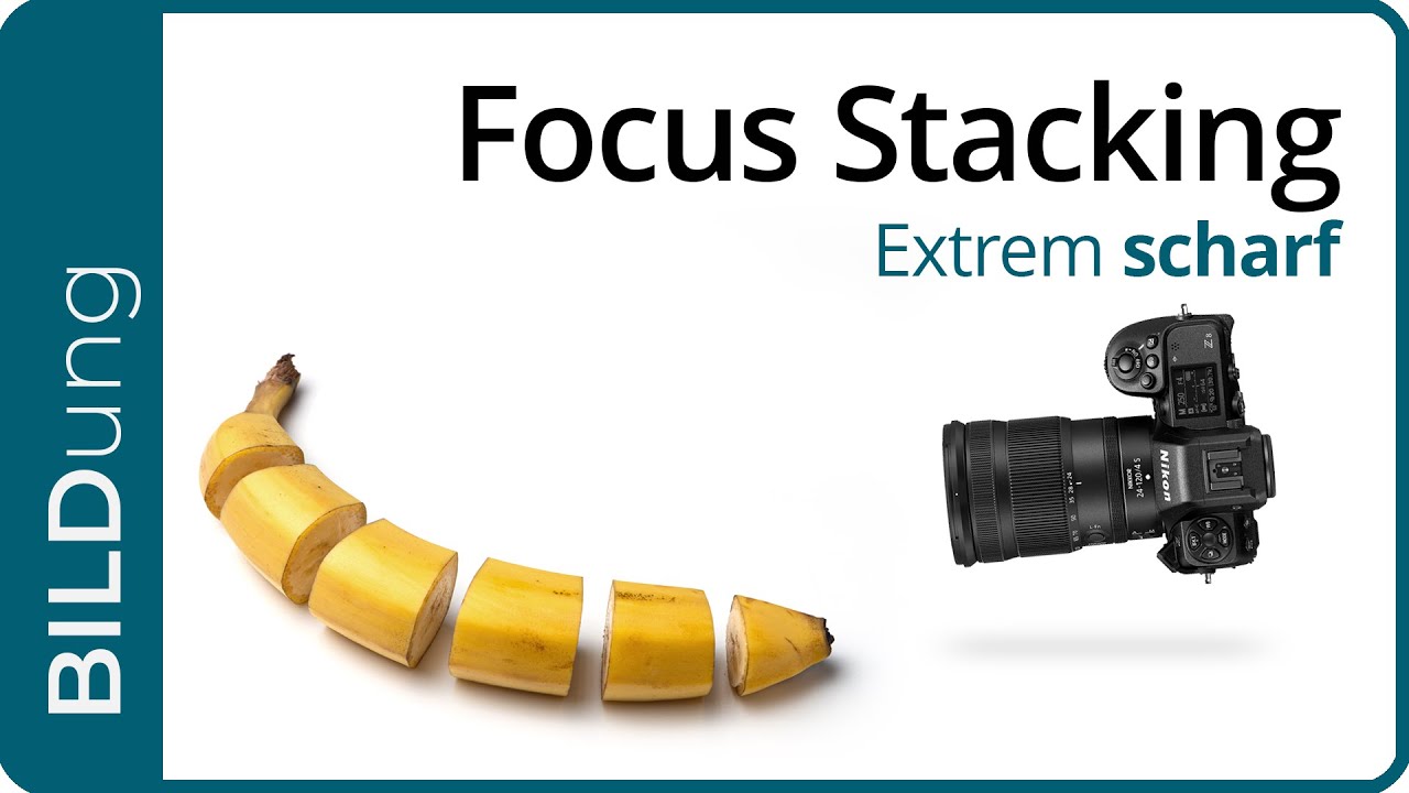 Focus Stacking – Alles scharf, interessiert?