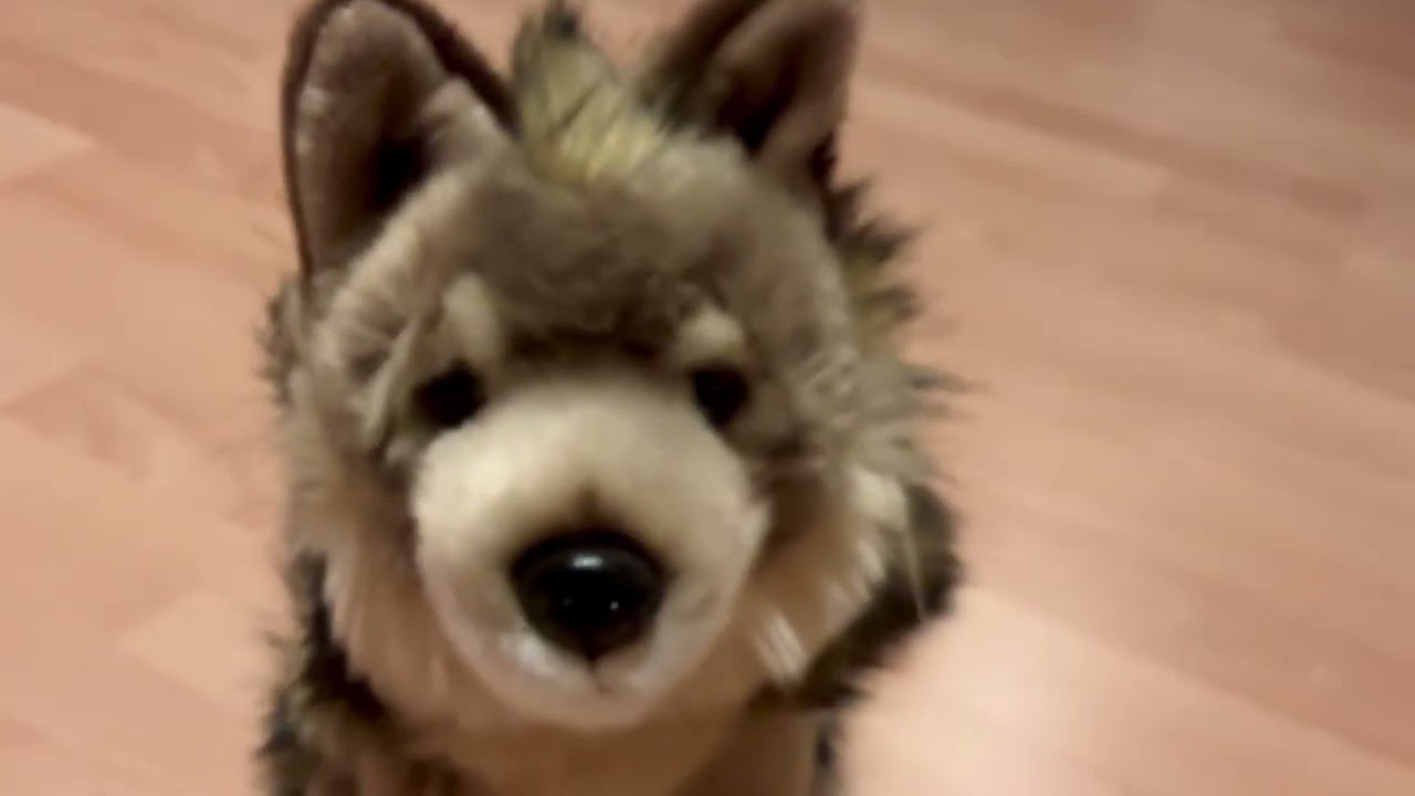 13 марта 2026 г.