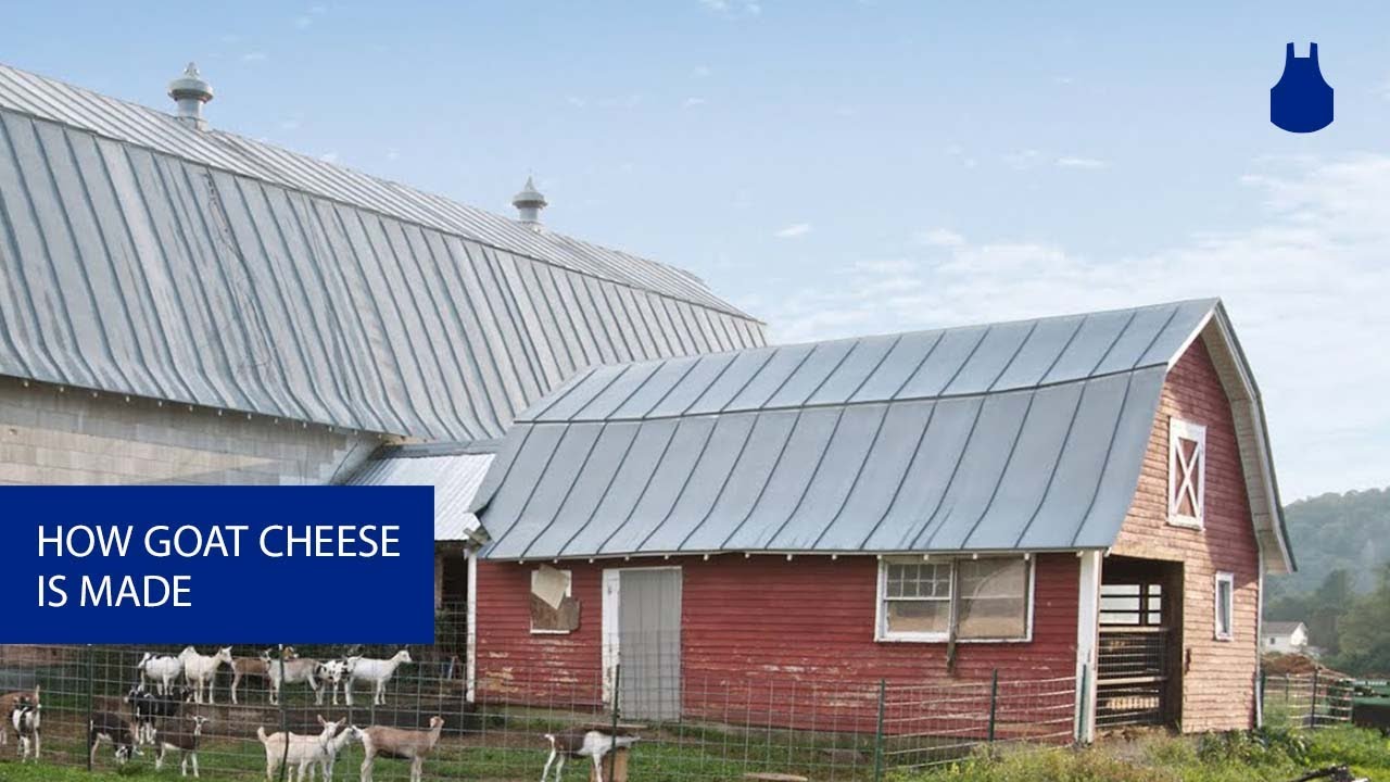 How Great Goat Cheese Is Made