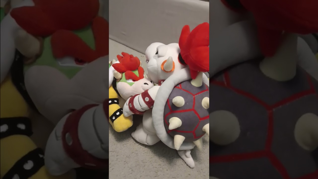 Bowser brothers