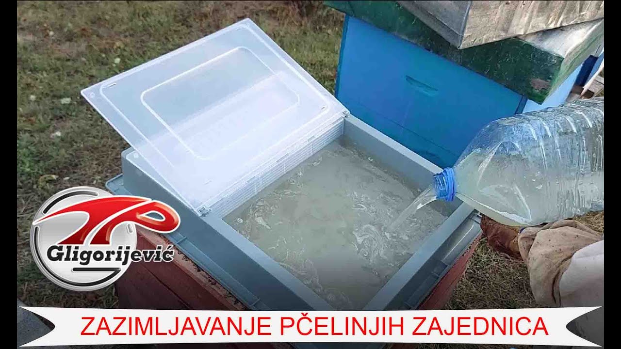 Jesenja prihrana pčela- NAJJEDNOSTAVNIJI NAČIN