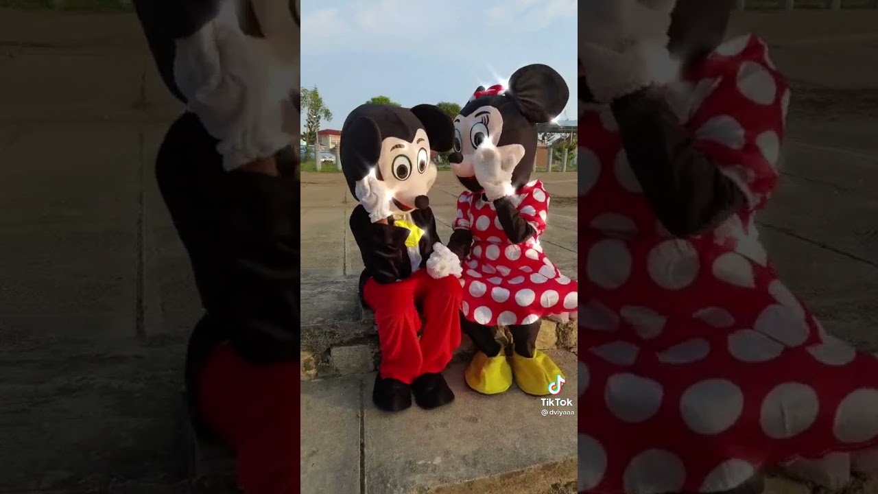 Mickey and Minnie Duet Rhythm Surprise Planner