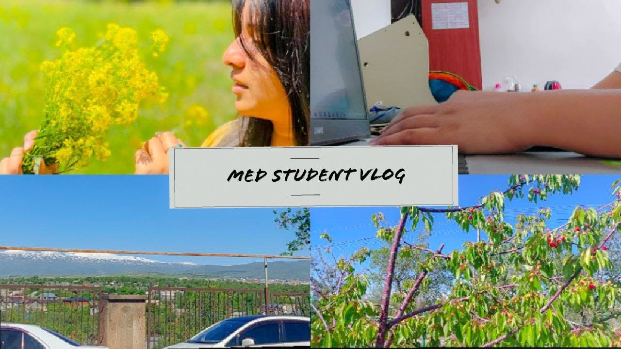 Med student Vlog; summer days, Study vlog , daily vlog , going to hospital, making foods