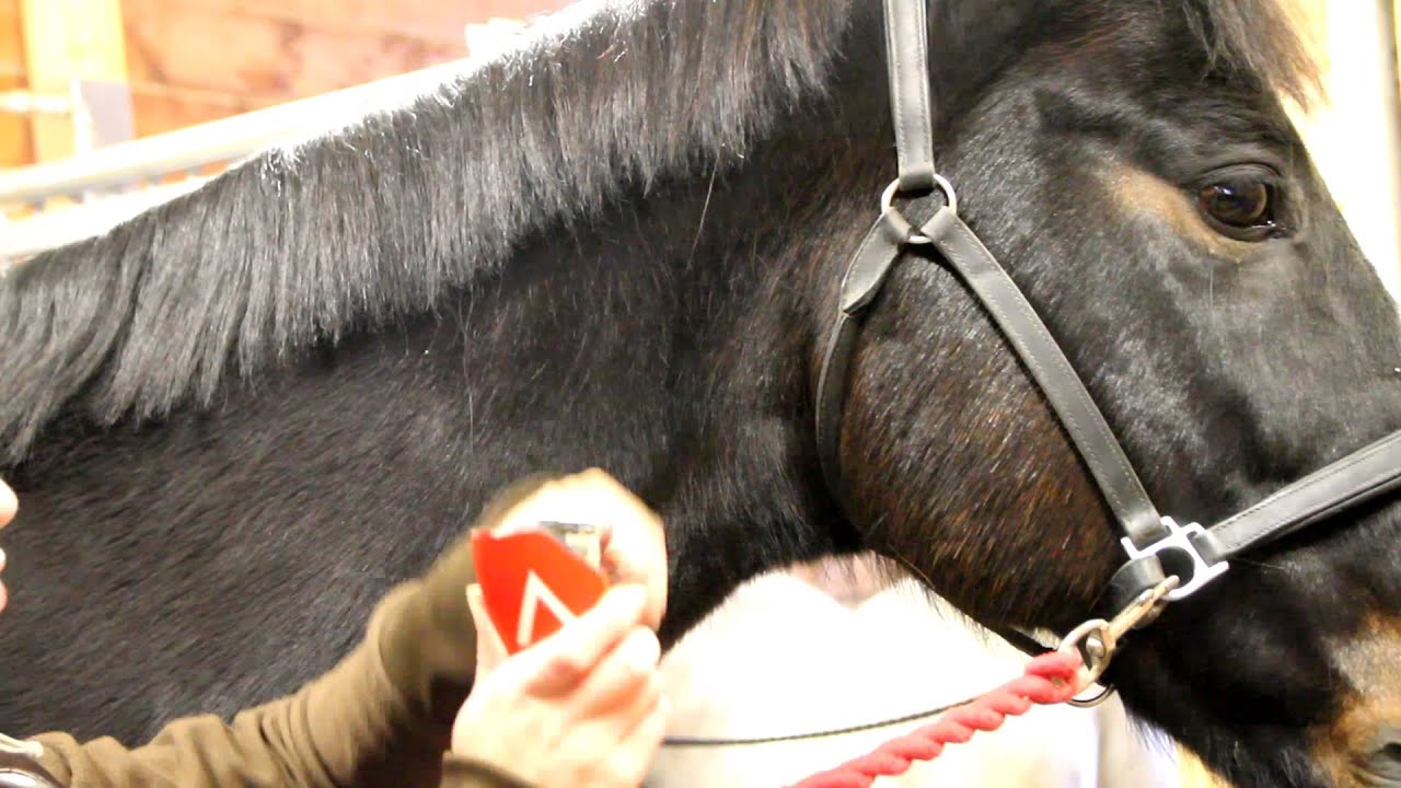 videopostaus esteitö!