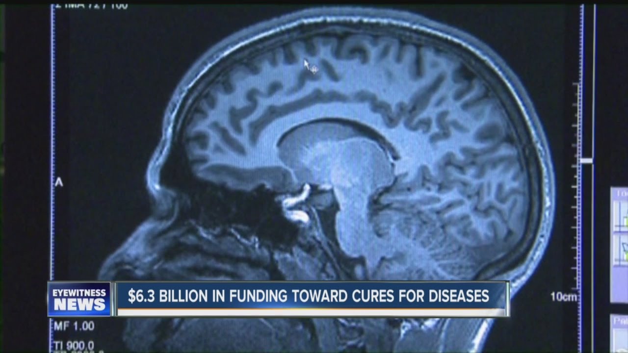 Billions to be spent curing 