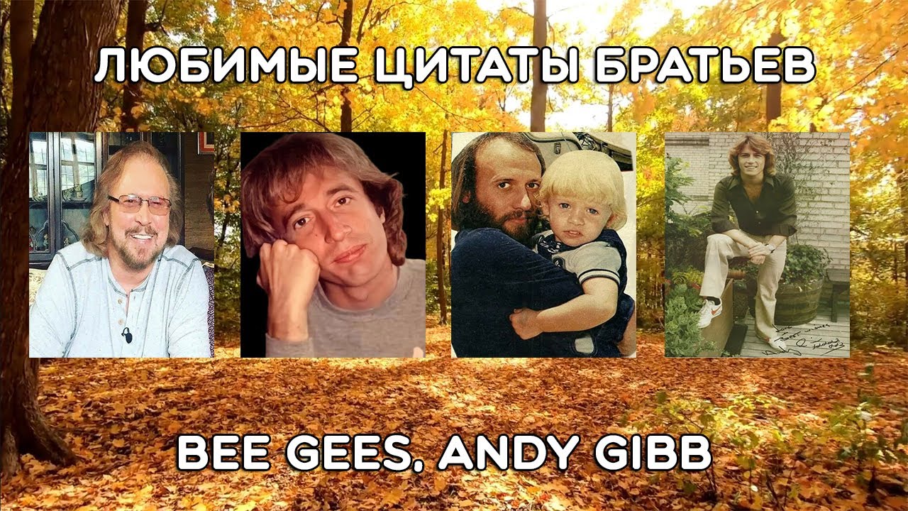 Любимые цитаты братьев Гиббов (Bee Gees)