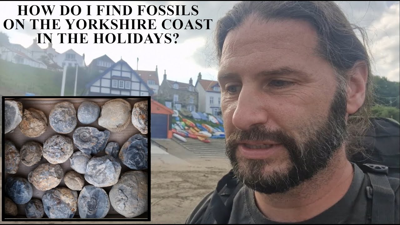 How to find fossils on the Yorksire coast - Runswick bay - summer #fossilhunting for ammonites