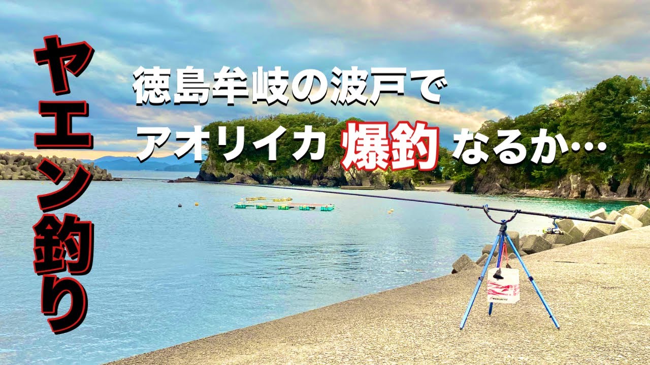 ヤエン釣り2023年12月　徳島牟岐