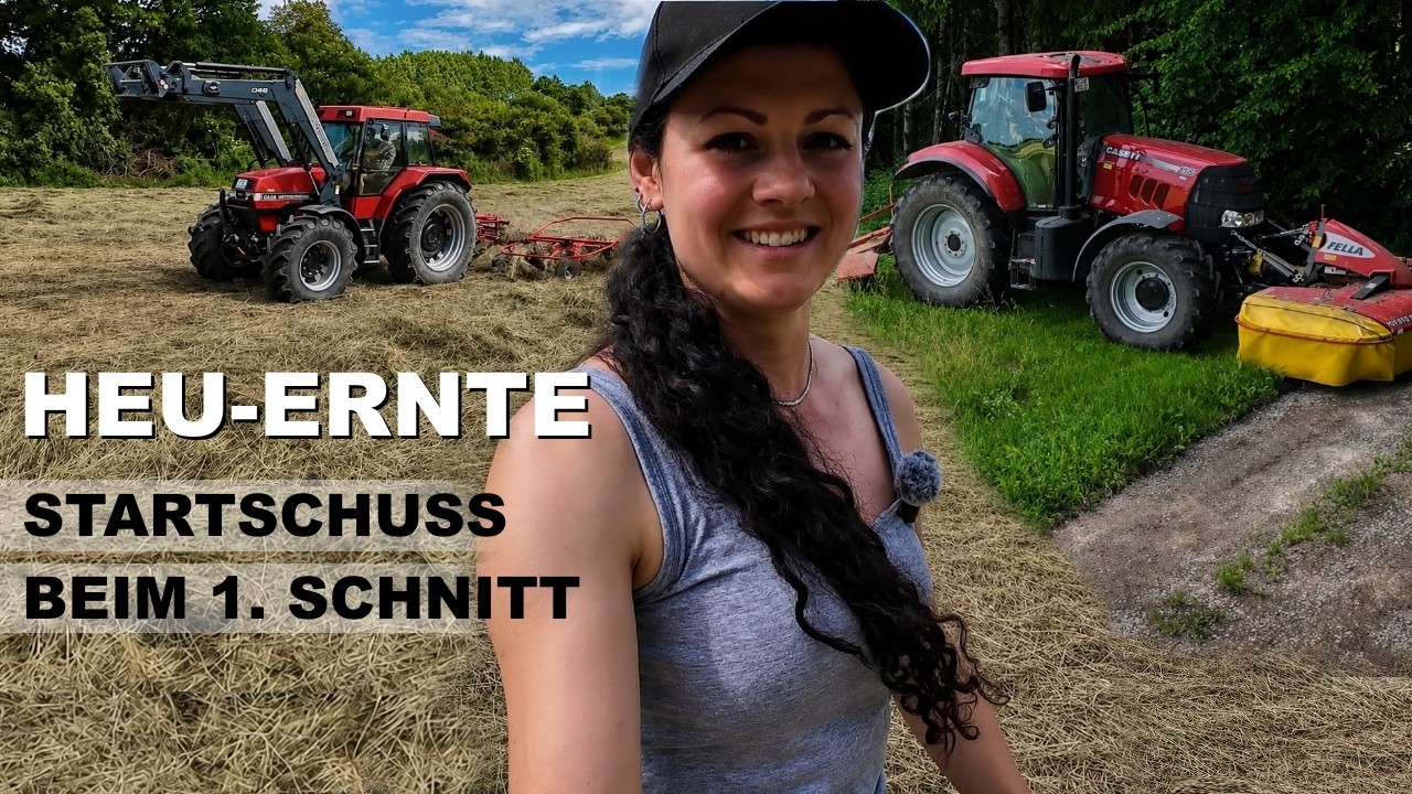 The weather is finally ready! HAY HARVEST - The Puma and the Maxxum get started - FarmVlog#61