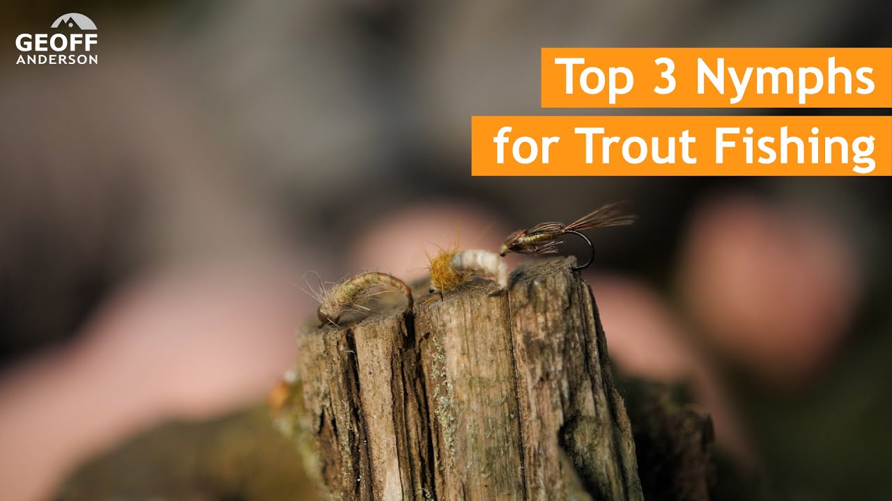 The 3 Best Nymphs for Large Brown Trout