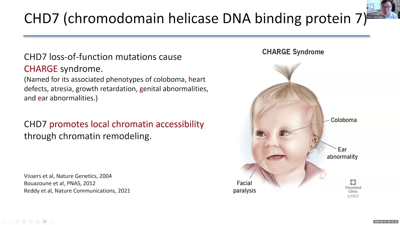 Perturb-tracing enables scalable high-content discovery of 3D genome regulators
