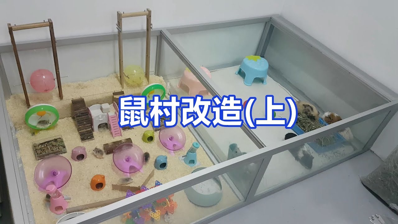 鼠村改建(上篇)