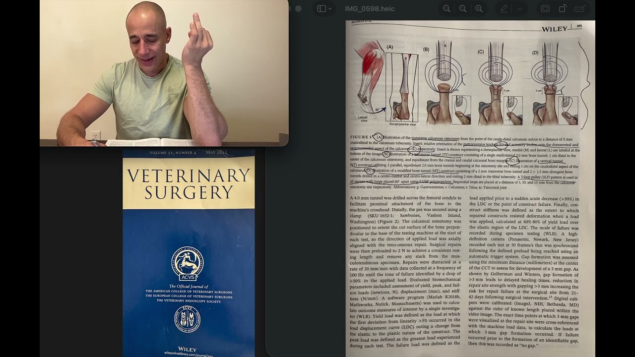 Testing different surgical repair techniques for common calcanea tendon rupture in dogs