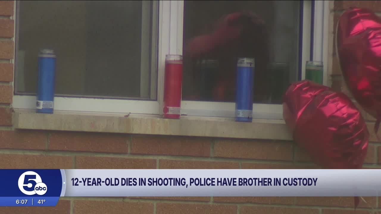 Teen who allegedly shot, killed sibling turns himself in, Canton Police says