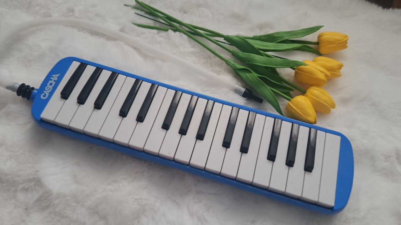Adele - Skyfall • Melodica 