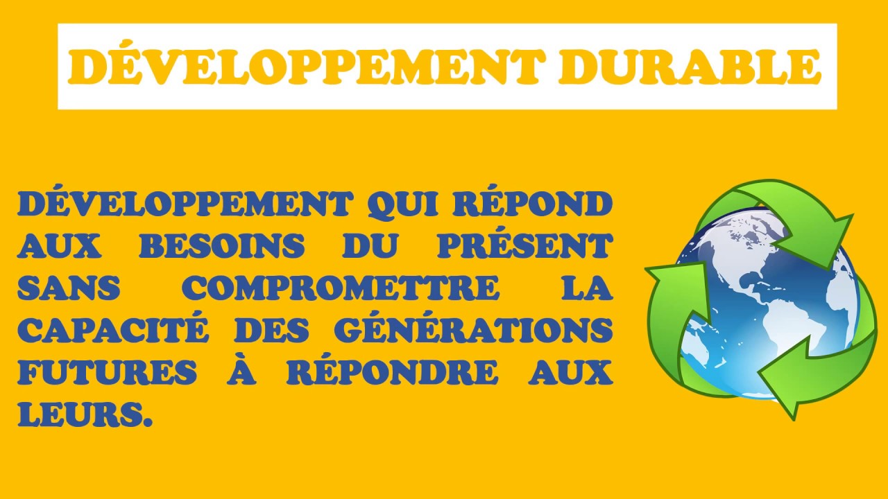 Les mots de l'Economie-Gestion : D comme Développement durable