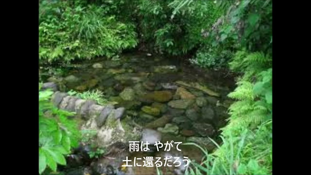 ウンディーネ/MEIKO|Undine