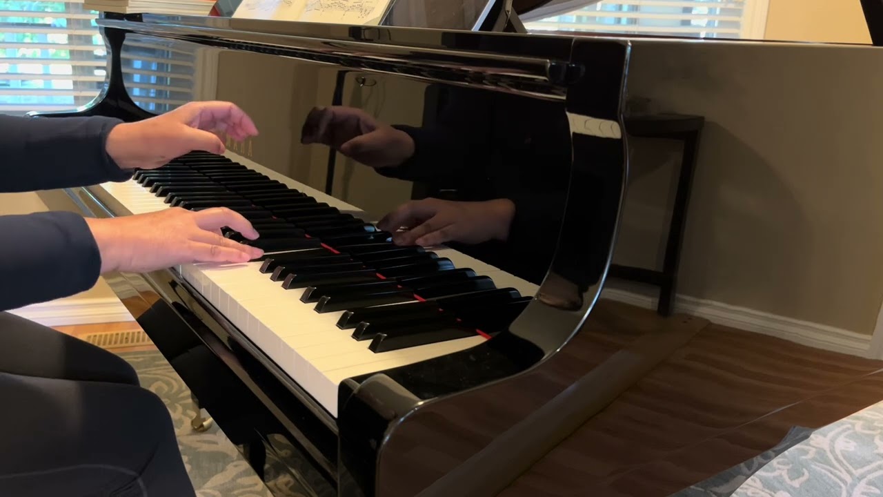 Liszt - Sonetto 104