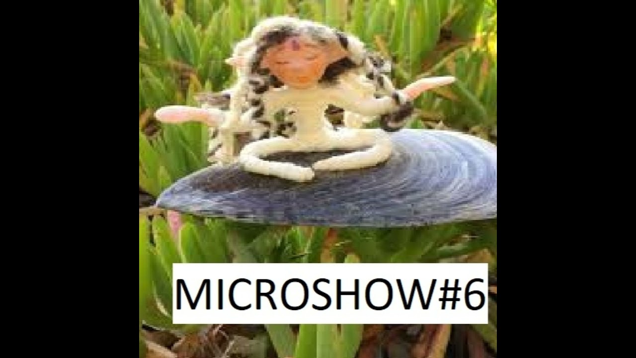 MICROSHOW#6