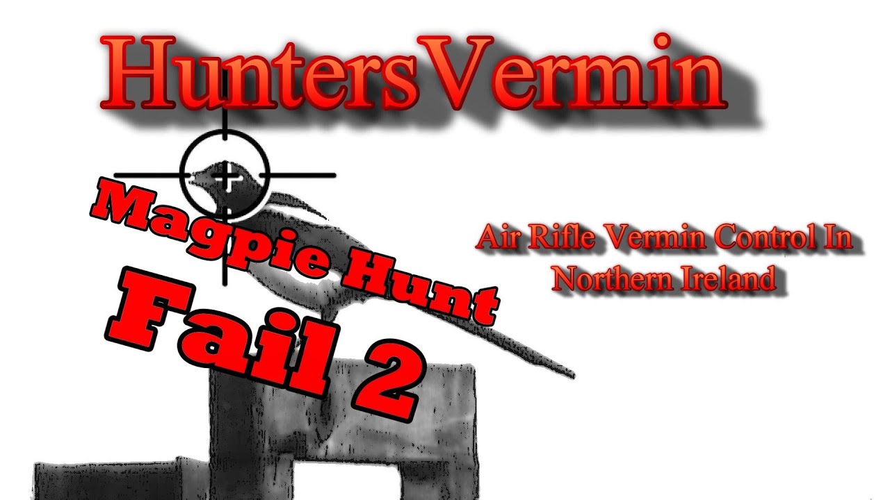 Air Rifle Hunting, Failed Magpie Hunt 2, Horses
