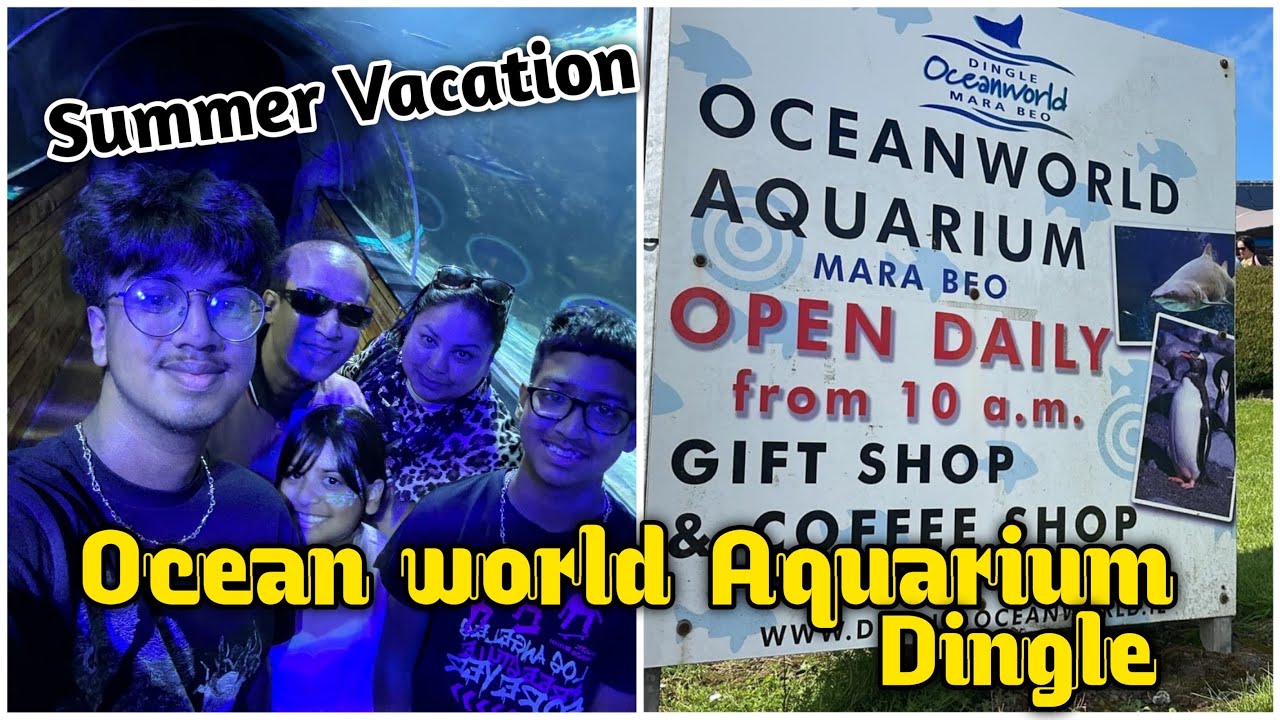 Ocean world aquarium ,Dingle| কিল্ডার শহর টা কেমন?