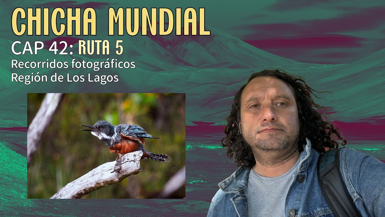 CAP 42: RUTA 5: PICHIQUILLAIPE, LAGO CHAPO, MAULLÍN, RÍO CHEPU, CAULÍN