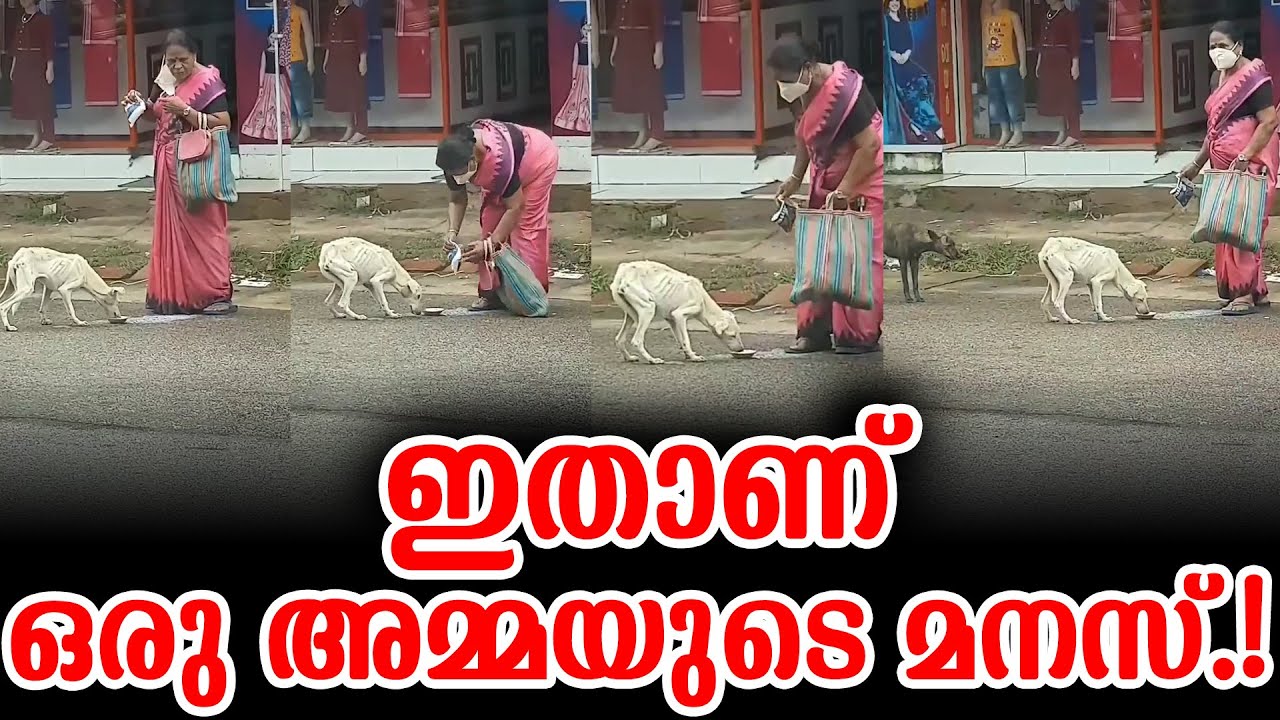 ഇതാണ് ഒരു അമ്മയുടെ മനസ്.! | This Is Humanity
