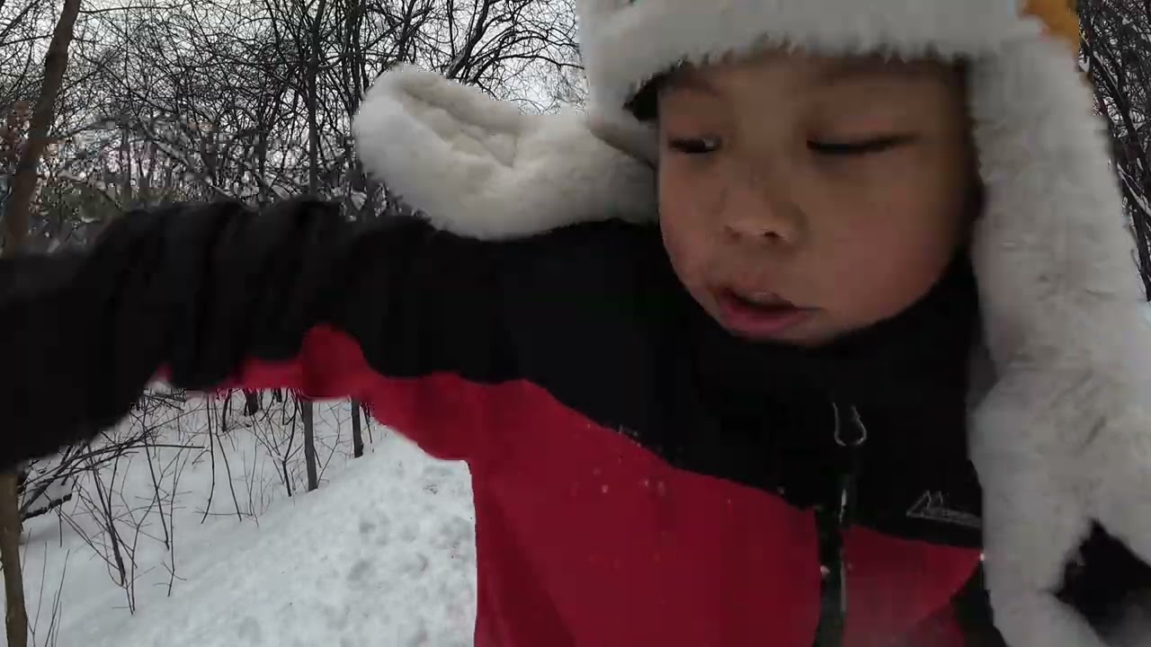 Winter in a trail park