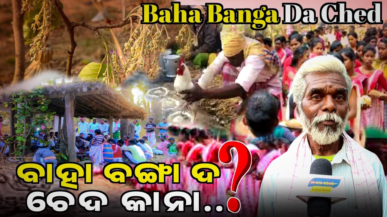 Baha Banga Da Ched Kana || Nabin Murmu || Ched Khatir ka sendraya @BirbahaDigitalNews