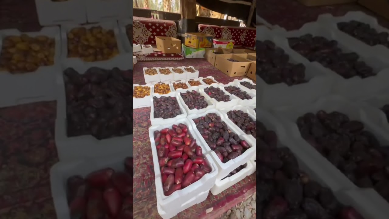 مزارع عاليه المدينه