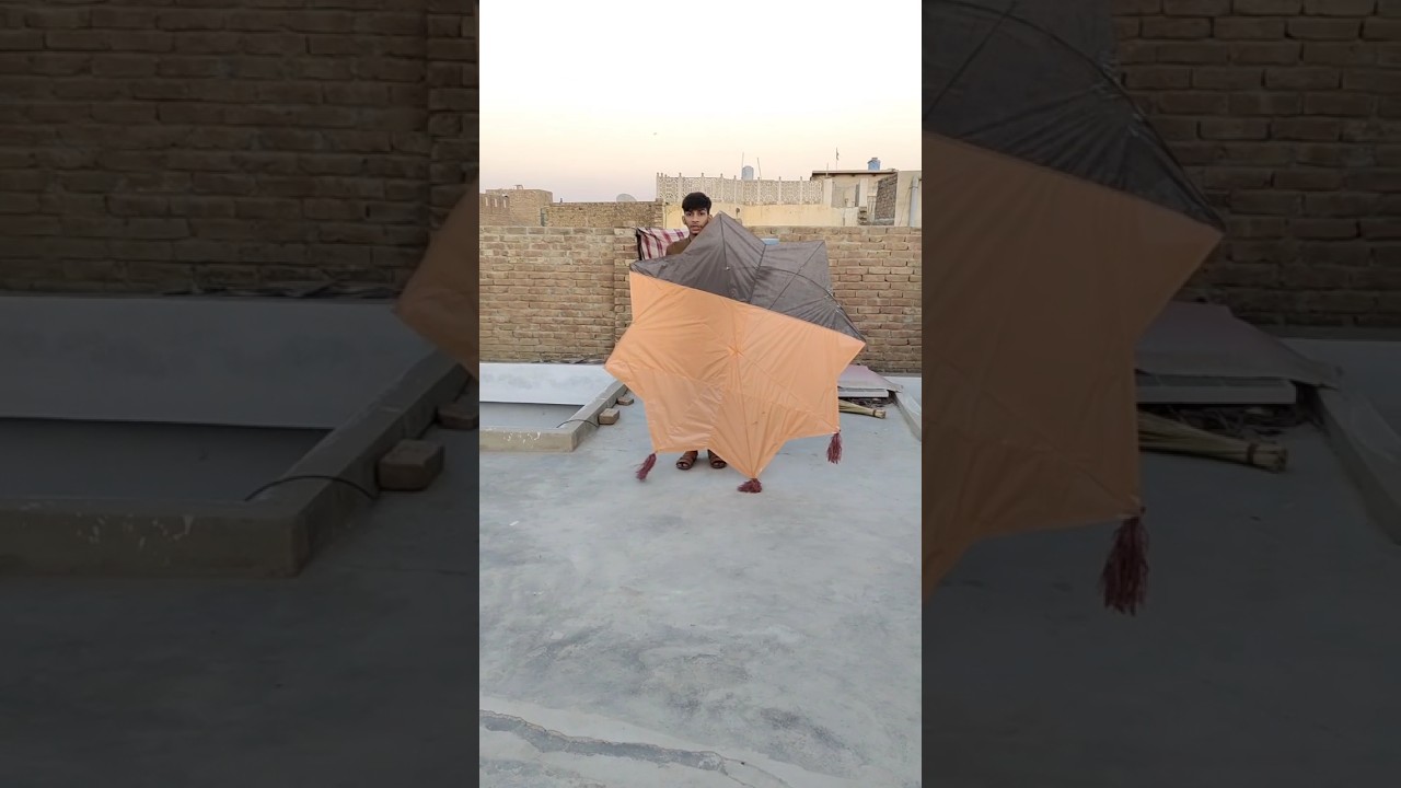 Star Kite (Patang) Catch New Trick #basant #shorts