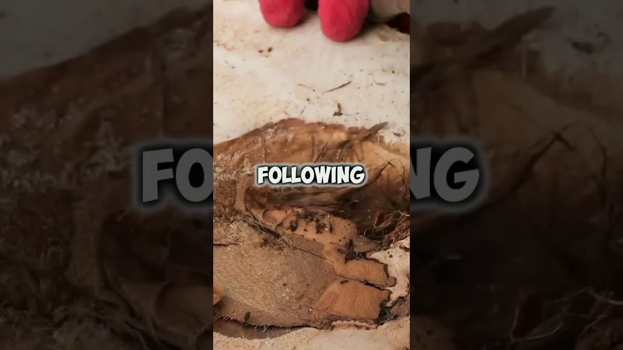 I told a plus SIZE woman that.... 