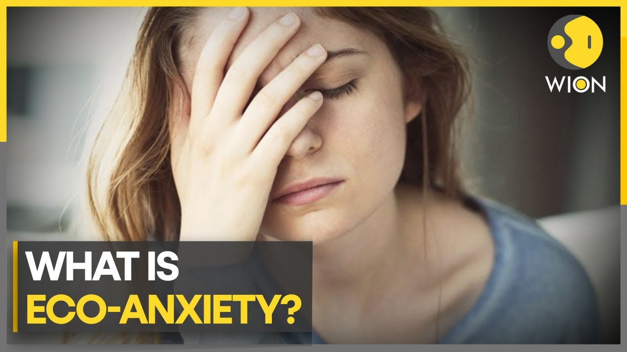Here's how you can cope with climate anxiety | WION Climate Tracker