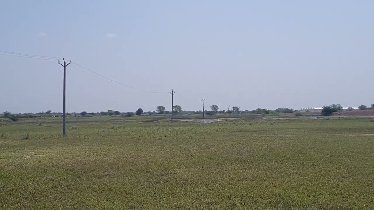 Rajathan district Niwai tehsil 70 bigga General  agricultural land with farm pond .wire fancing 