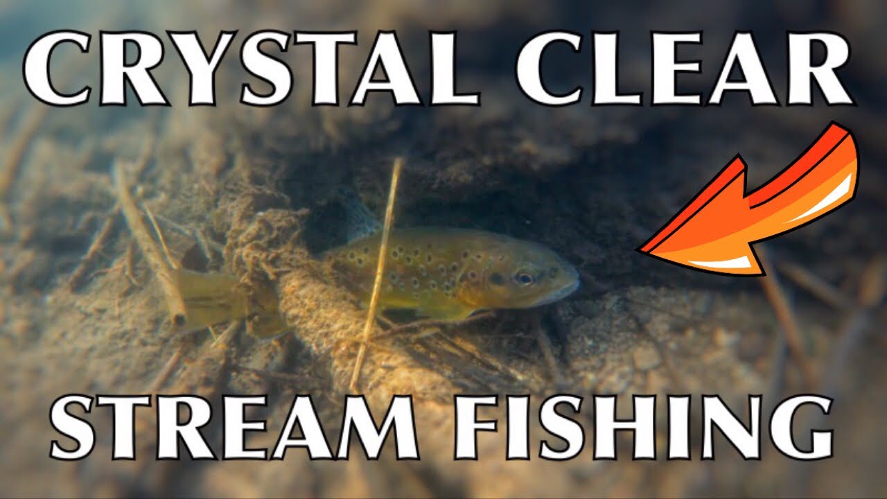 Dry Fly Fishing - River Lathkill - Early Season Wild Brown Trout