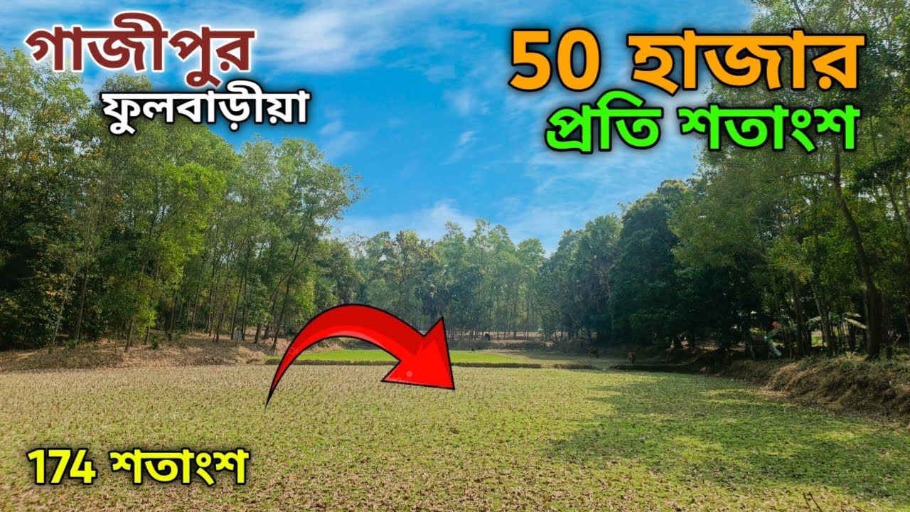 স্বল্প দামে জমি কিনুন গাজীপুরে | কালিয়াকৈর ফুলবাড়ী ৫০ হাজার টাকা শতাংশ | Land For Sale Gazipur 