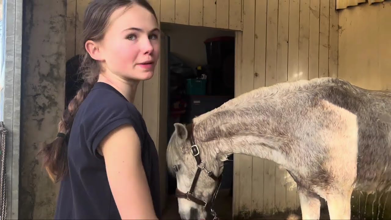 Vlog 6 du poney club 