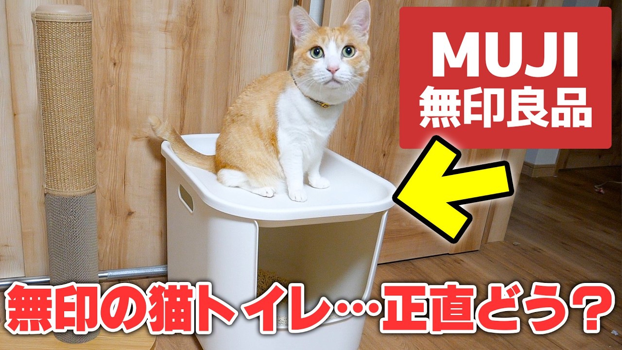 【即完売】ついに無印良品が猫トイレを発売！！実際に猫たちに使ってもらった結果がまさかの…