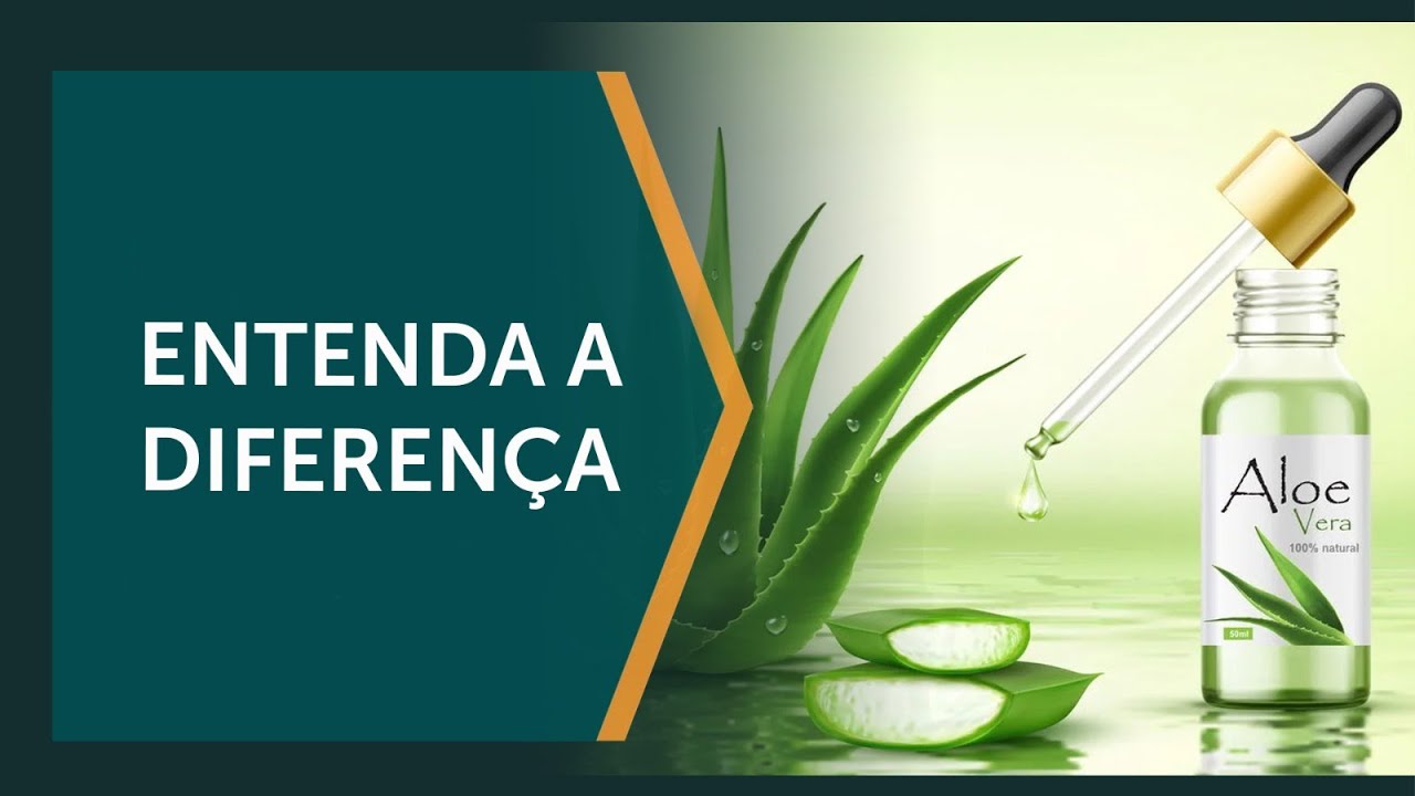 Babosa ou Aloe vera?