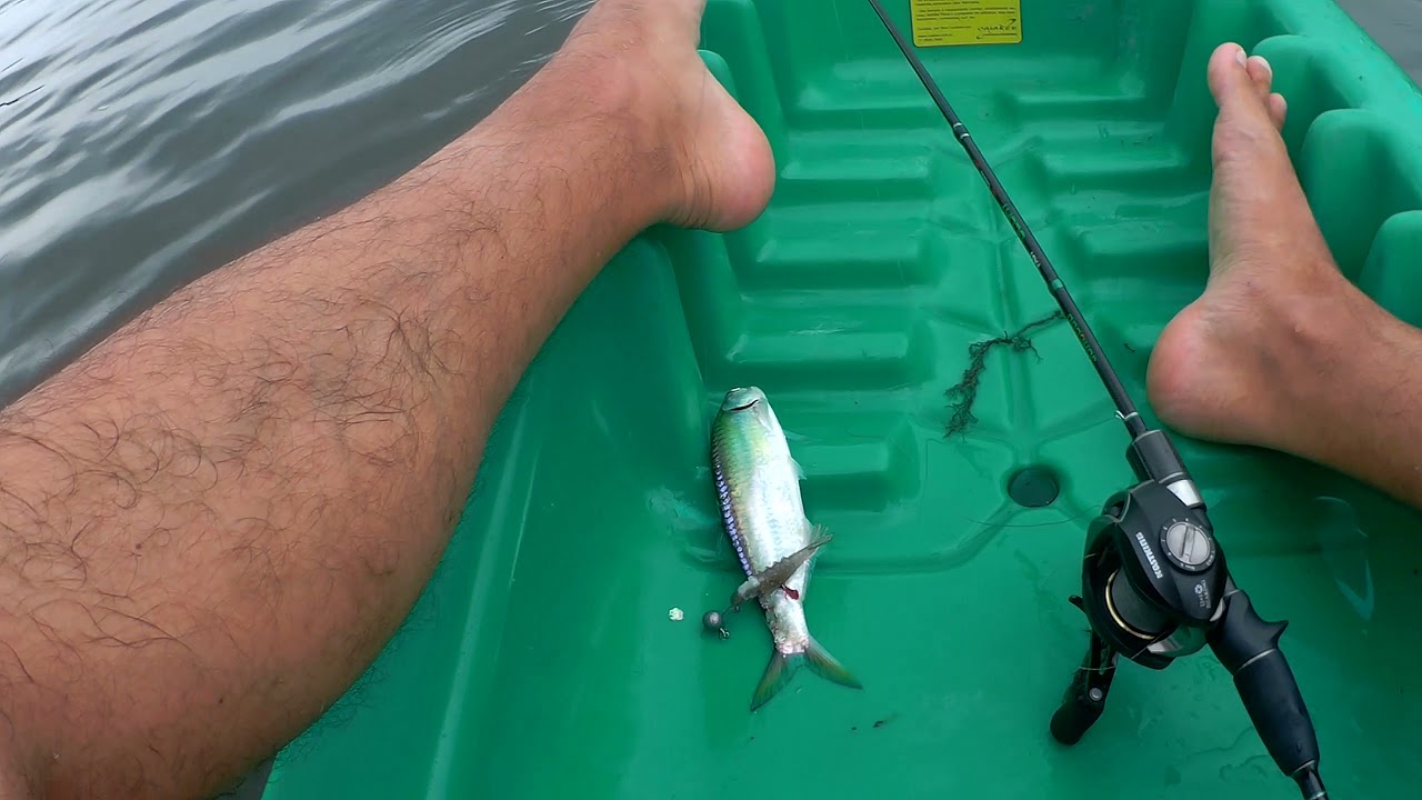 Caiaque Lambari da Caiaker - Teste e pescaria nas marisqueiras