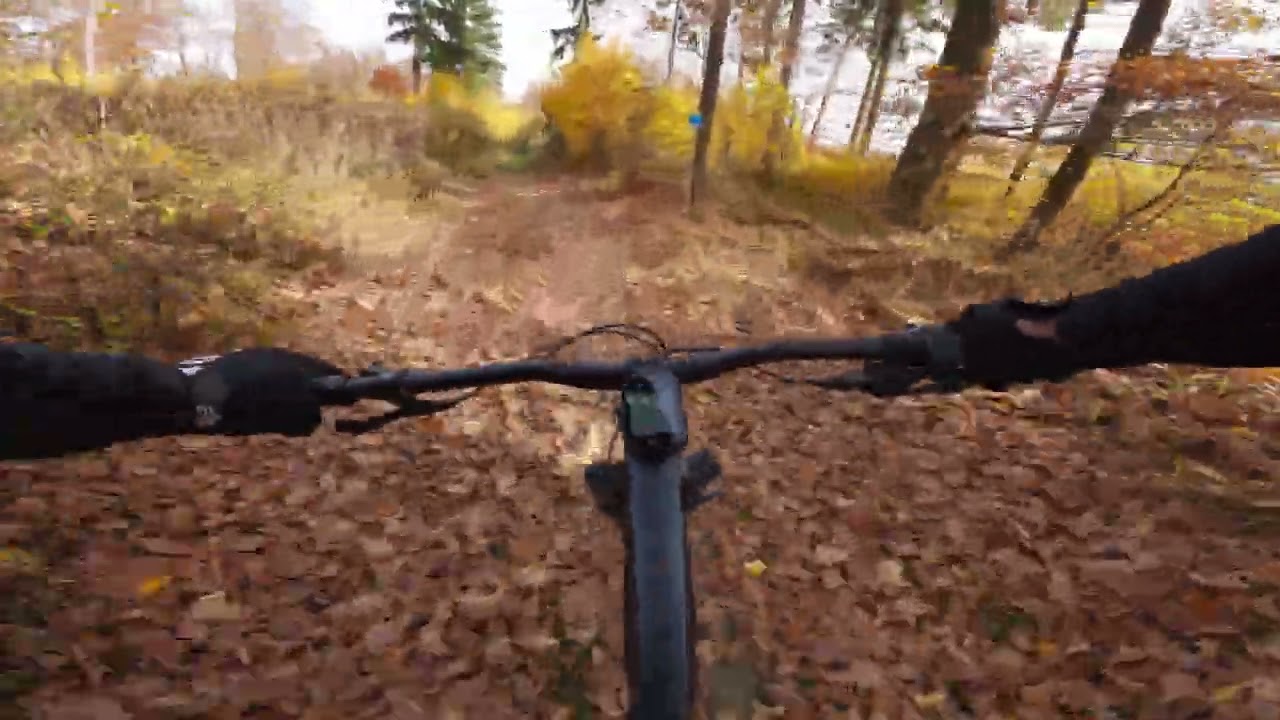 Burgenland trails - Batthyany trail, Kellys Theos F60