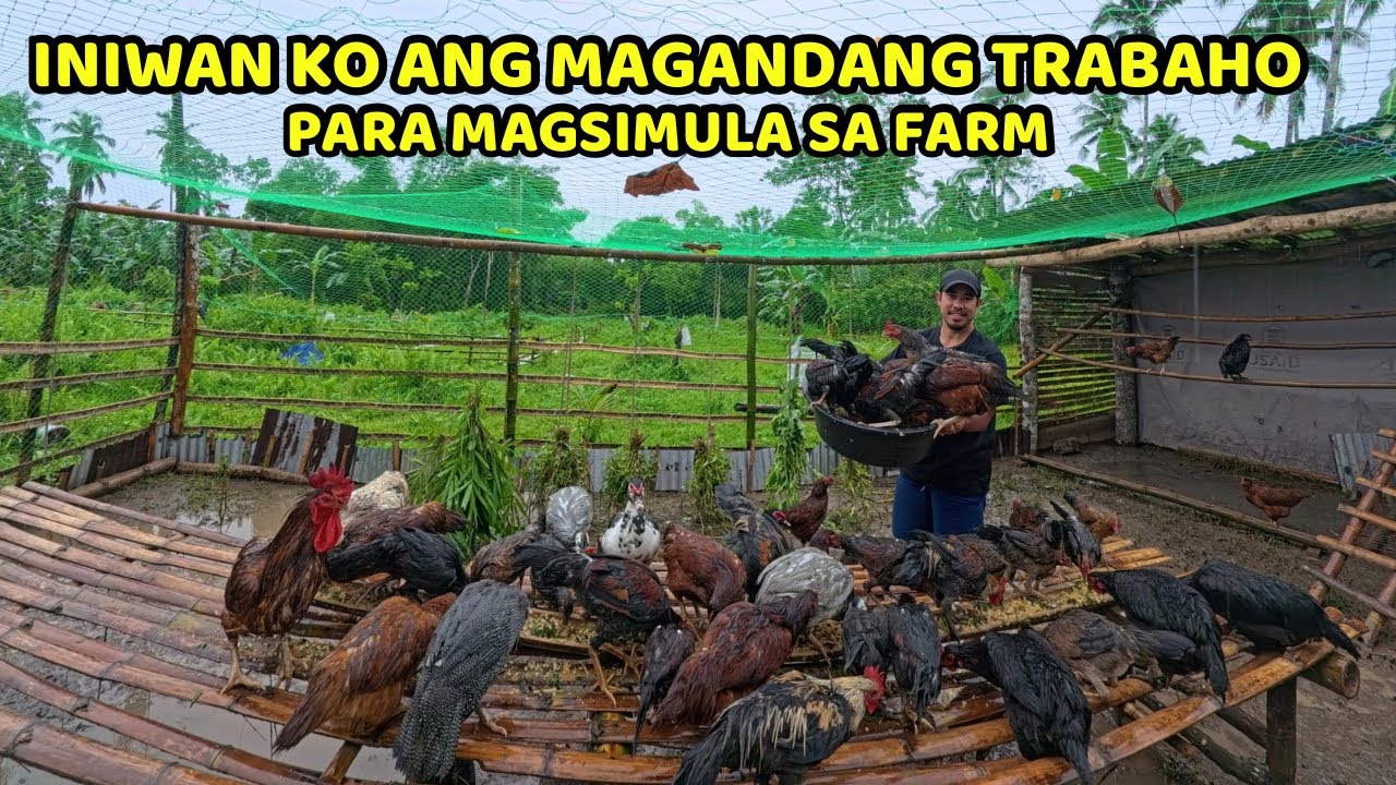  INIWAN KO ANG MAGANDANG TRABAHO PARA MAGSIMULA SA FARM 
