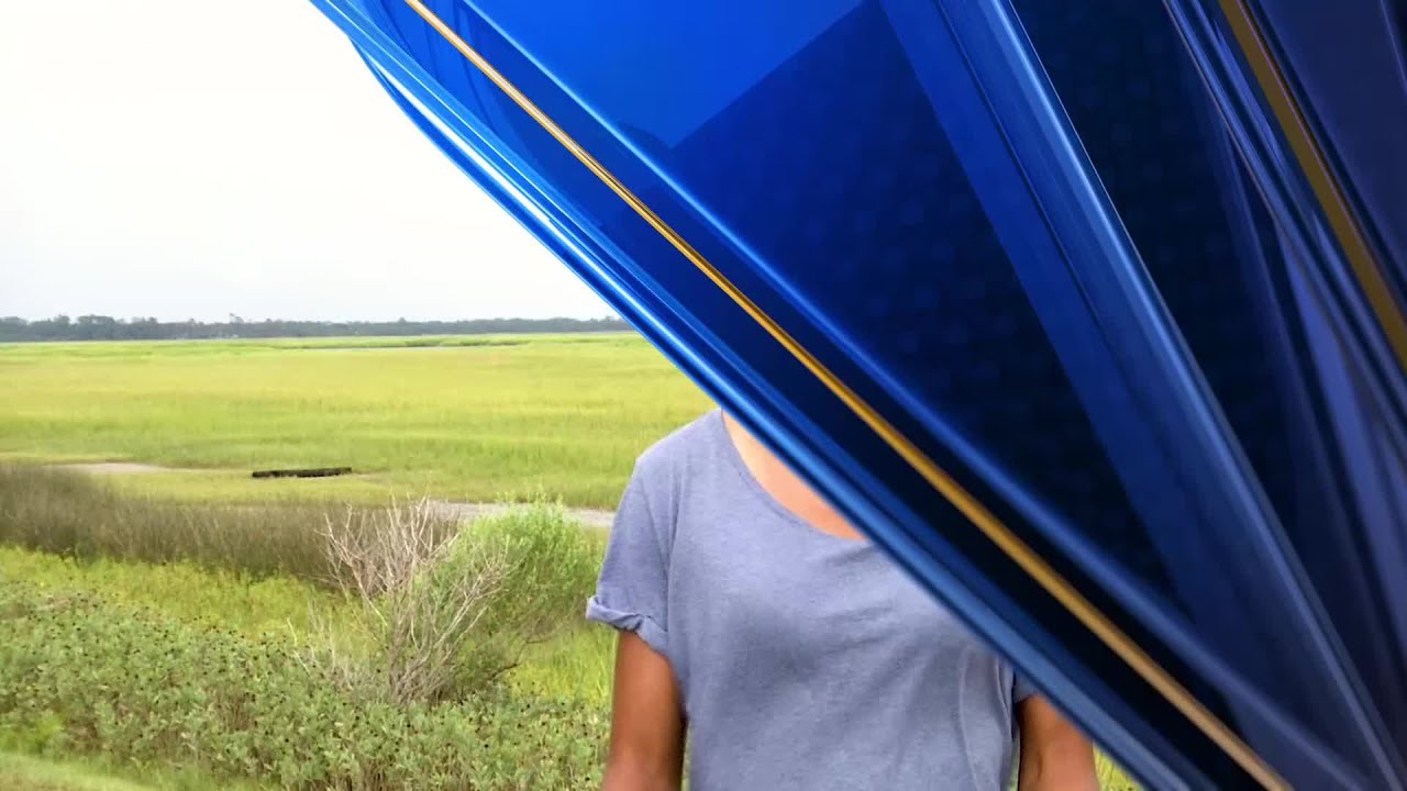 Ornithologist and GSU grad student Corina Newsome shares what she finds most fascinating about birds