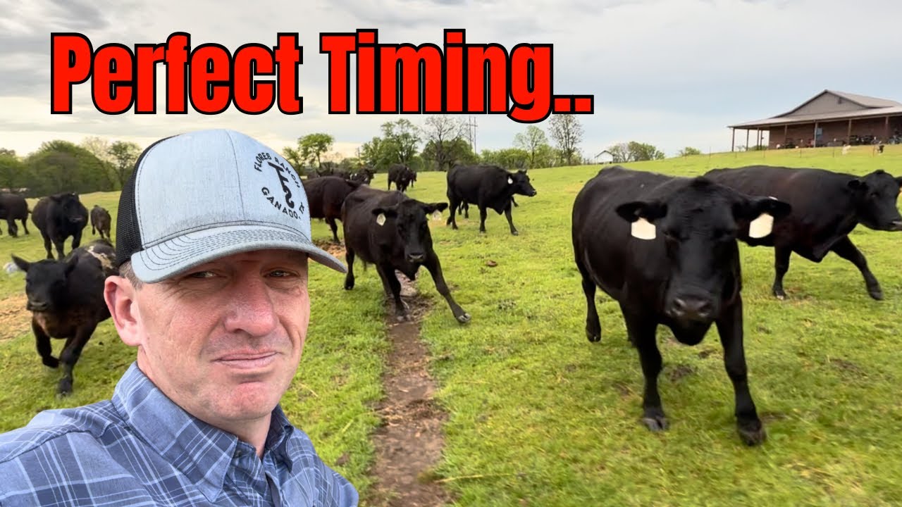 Нам это было крайне необходимо.