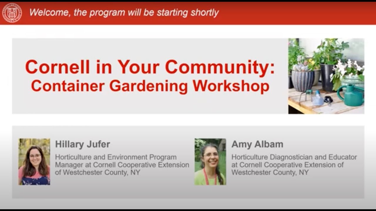 Container Gardening Workshop with Cornell Cooperative Extension